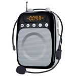 Портативный громкоговоритель с микрофоном GID-358 25 Watt